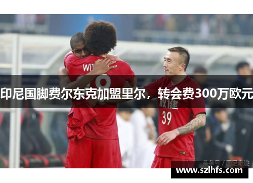 印尼国脚费尔东克加盟里尔，转会费300万欧元